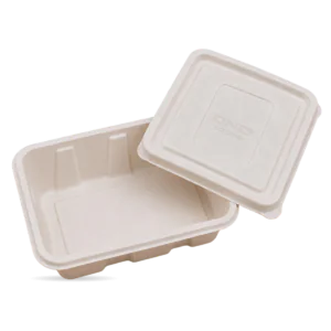 Food Container